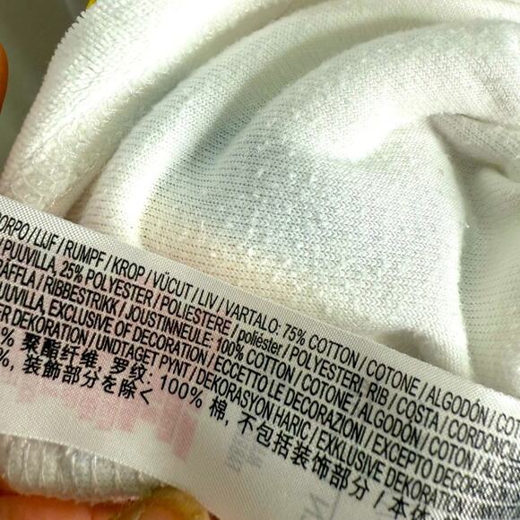 Disney Spirit Jersey Feeling Classic Rainbow Cast Striped Velour W1795 Sz XL - Picture 5 of 8